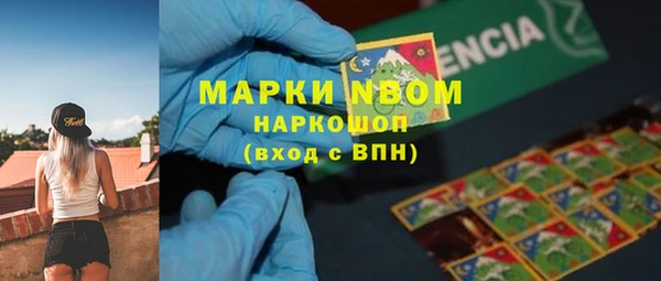 PSILOCYBIN Лиски