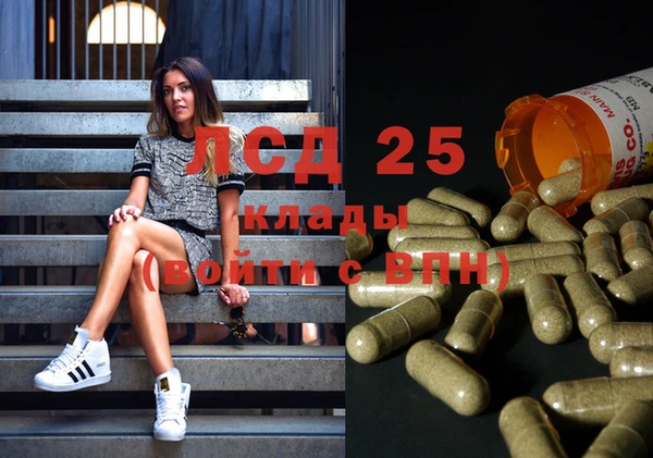 тгк Магас