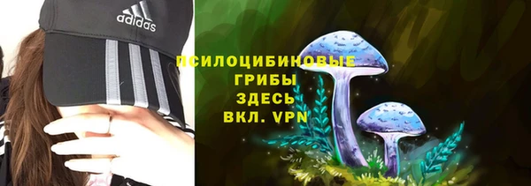 PSILOCYBIN Лиски