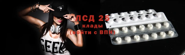 прущие грибы Лихославль