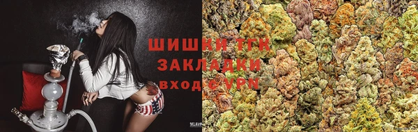 тгк Магас