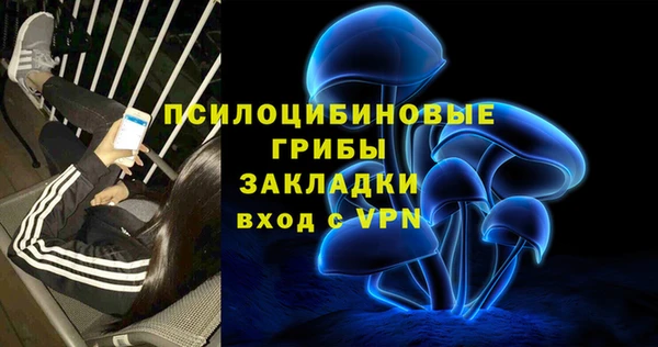 PSILOCYBIN Лиски