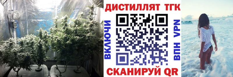 Дистиллят ТГК THC oil  blacksprut ссылка  даркнет клад  купить   Цоци-Юрт 