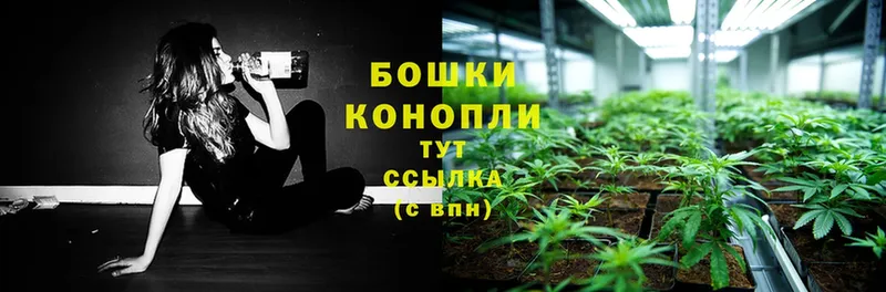 Канабис Ganja  хочу   Цоци-Юрт 